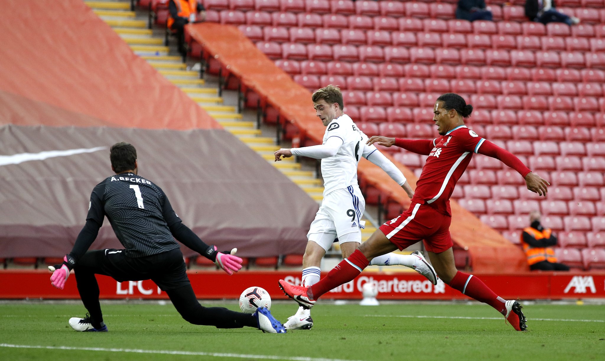 组织如果能 组织如果能